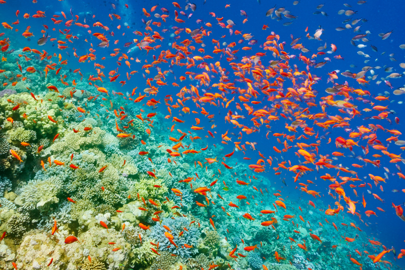 Sea_TK_EG.png